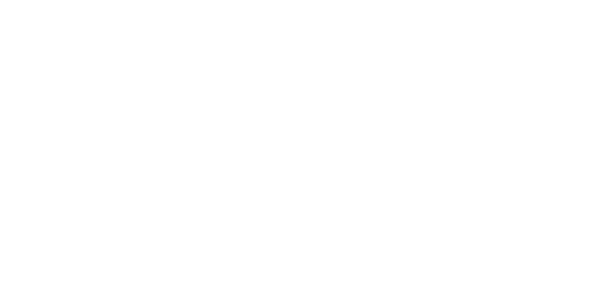colombo-logo-made-marketing-online-marketing-bureau-haarlem-web-development