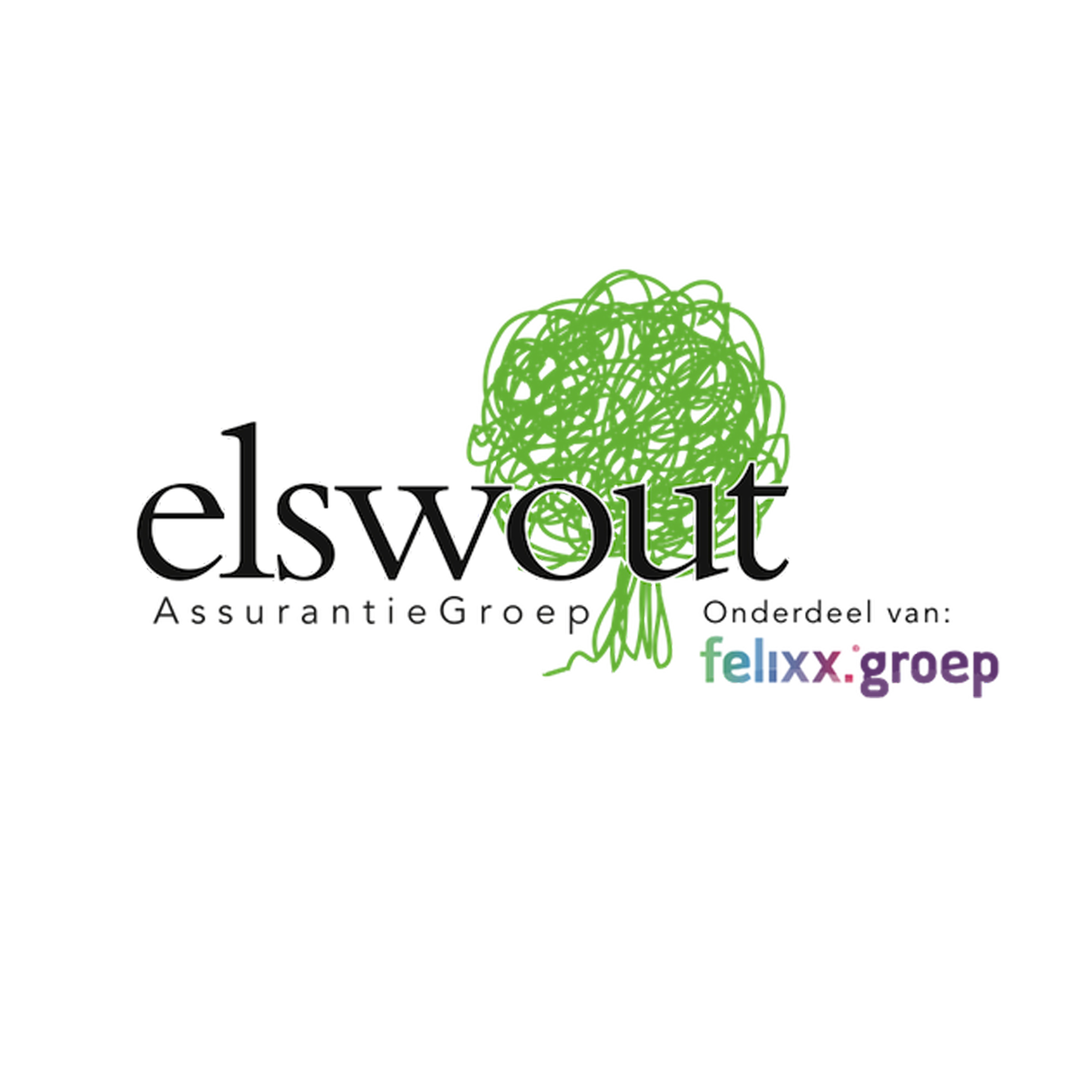 elswout-groep-portfolio-made-marketing-online-marketing-website-bouwen-logo